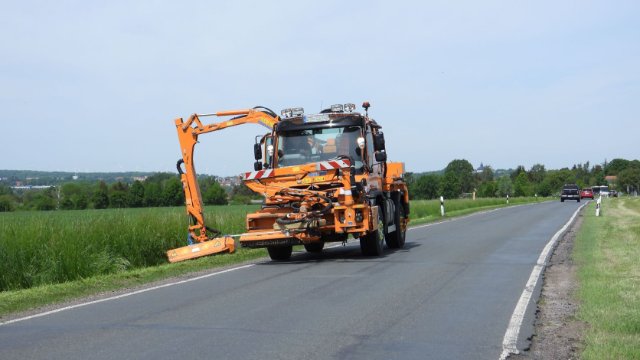 Petition gegen Insekten-Sterben am Straßenrand 