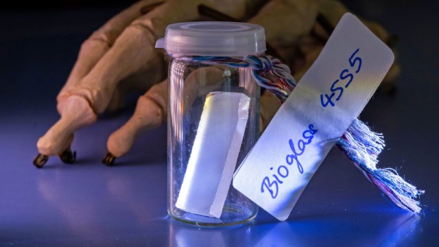 Einladung zu den öffentlichen Samstagsvorlesungen 