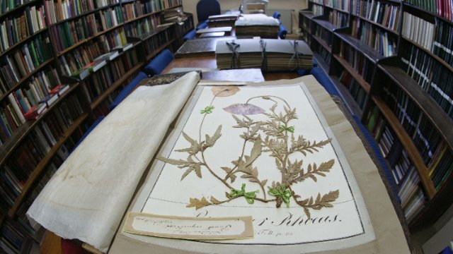 Neues Senckenberg-Institut in Jena