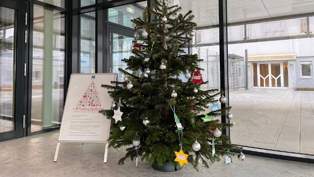 Wunschbäume warten auf fleißige Weihnachtswichtel