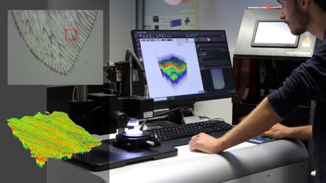 Projekt bewilligt: Kräftiger Schub für die KI-basierte Forschung an der EAH Jena