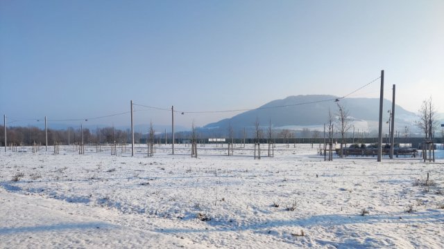 Neue Vergabe-Kriterien für städtische Eigenheim-Grundstücke 