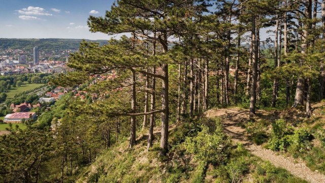 Schönste Wanderrouten: SaaleHorizontale nominiert