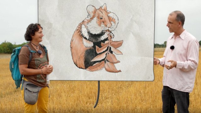 Kurzfilm über Feldhamster in Thüringen