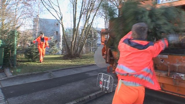 Weihnachtsbäume werden abgeholt