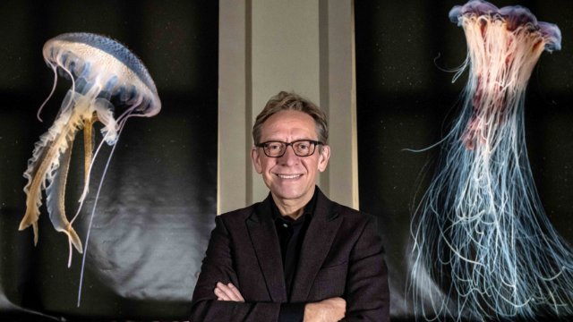 Ein Rätsel der Evolution gelöst