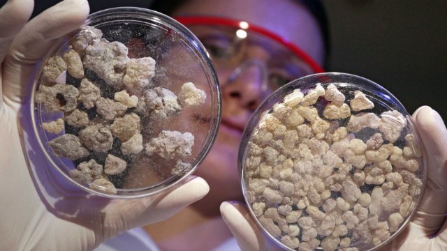 Entzündungen per Schalter einfach auflösen