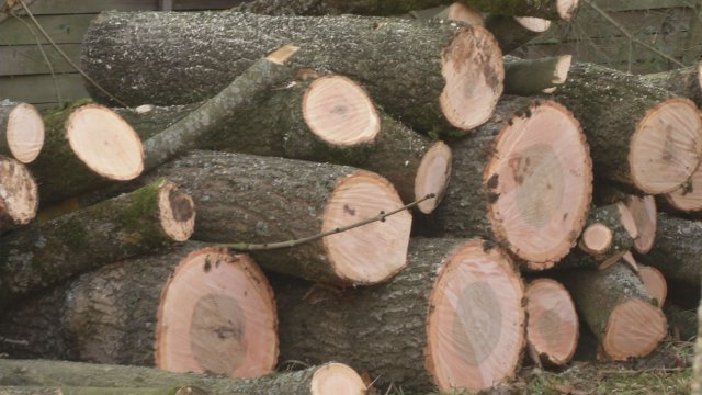 Erneuerung der L1077 zwischen Neustadt/Orla und Wolfersdorf