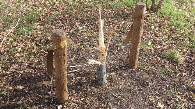 Vandalismus im Drackendorfer Park