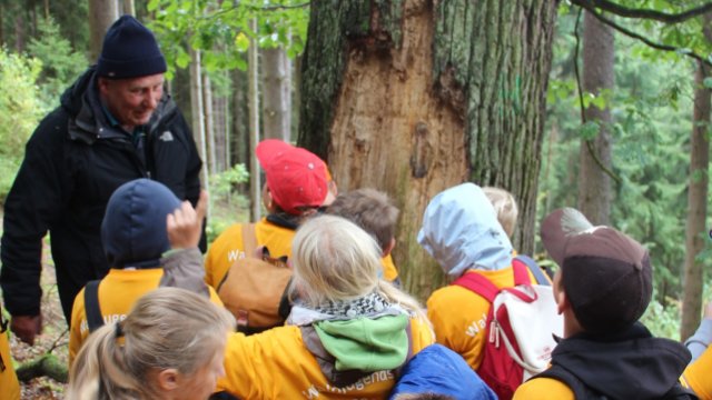 ThüringenForst bietet wieder Waldjugendspiele an