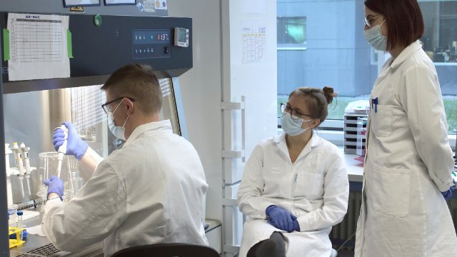 Dynamic42 gibt Expertise zu Biotech-Chips weiter