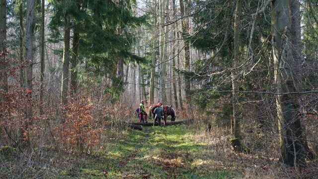 ThüringenForst unterstützt Waldbesitzerkampagne