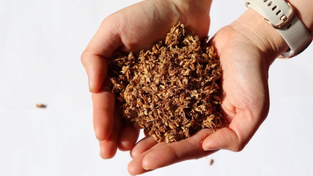 Erst Bier brauen, dann Energie speichern