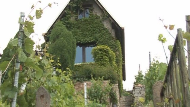 Wanderung für Weinfreunde