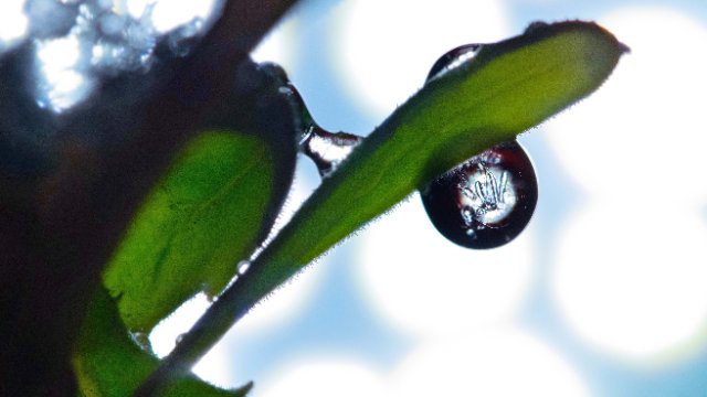 Neue Ausgabe des Uni-Forschungsmagazins 