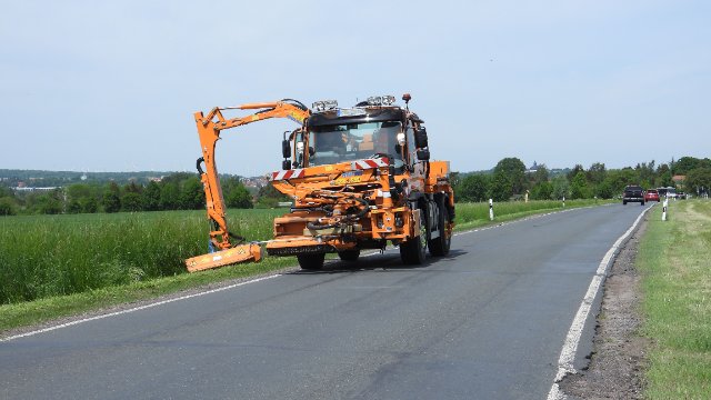 Straßenränder müssen insektenfreundlicher werden