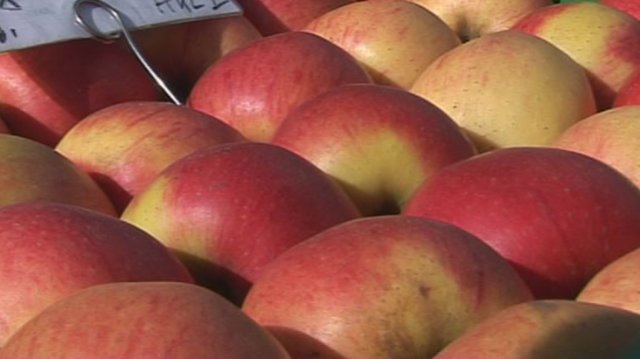 Ortswechsel für Jenaer Wochenmarkt 