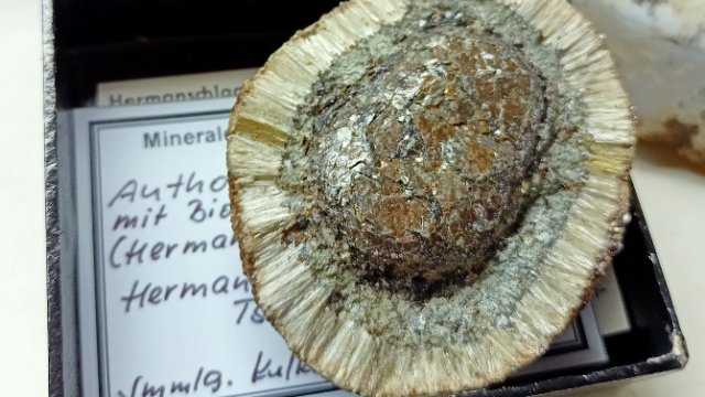 Sonderausstellung der mineralogischen Sammlung