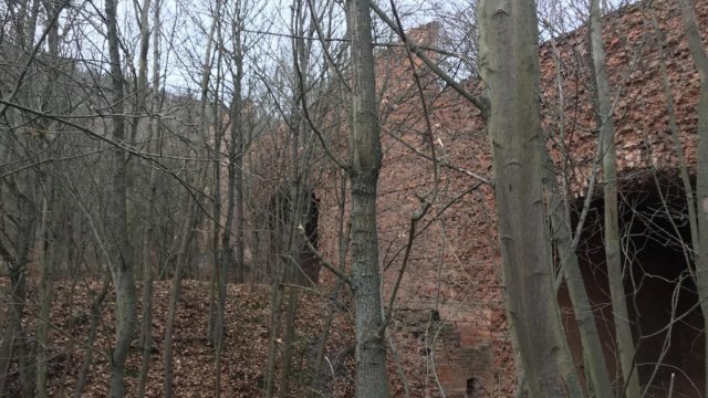 Sanierungsplan für bleibelastete Schießbahn Zwätzen