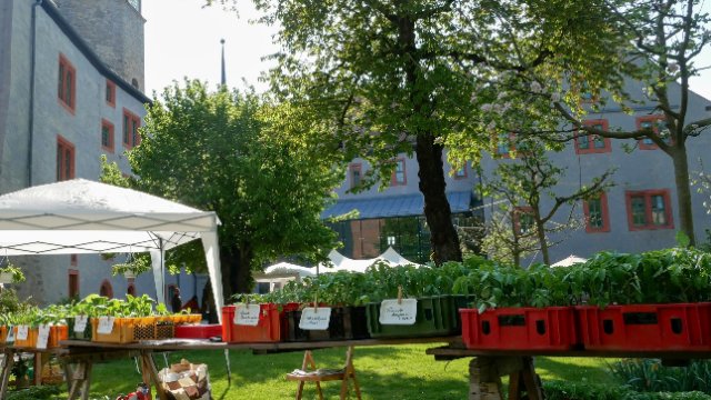 Pflanzenbörse auf den Dornburger Schlössern