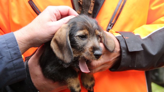 Waldjugendspiele-Saison gestartet