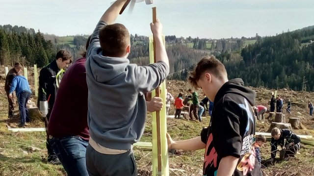 Isserstedter Jugendliche forsten auf