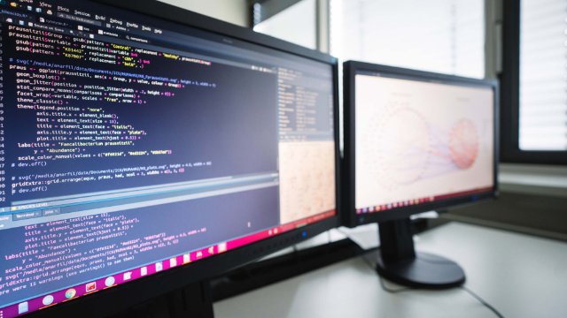 Forschung zu Darmbakterien