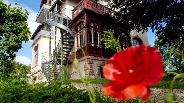 Picknickkonzert im Garten der Villa Rosenthal