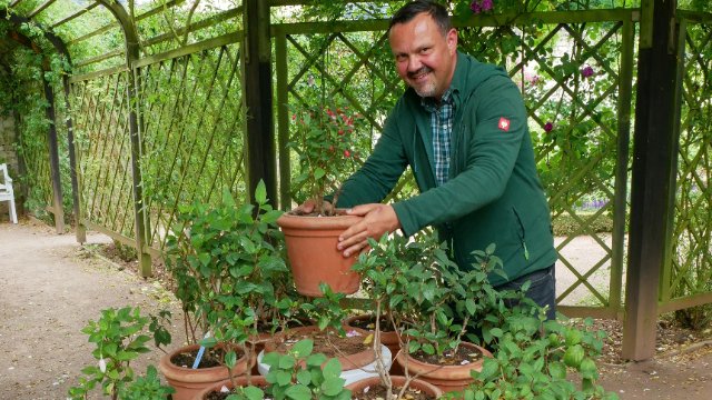 100 Pflanzkübel für Dornburger Schlossgärten gespendet