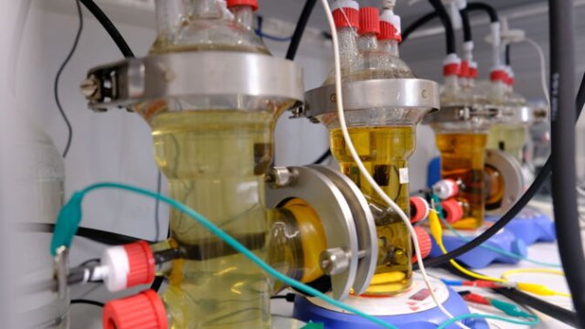 Bakterien nutzen Wasserstoff für Elektrosynthese