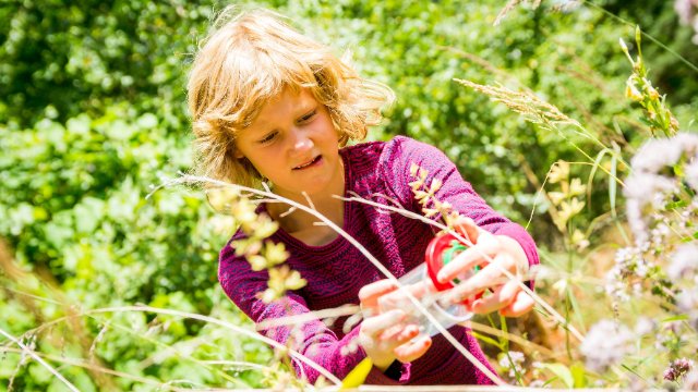 Kindercamp der Naturschutzjugend