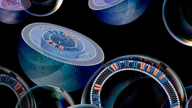 Forschung zu Endoplasmatischem Retikulum