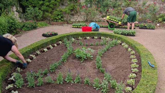 Sommerbepflanzung in den Dornburger Schlossgärten