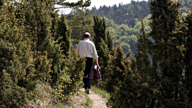 SaaleHorizontale in Wettbewerbs-Abstimmung