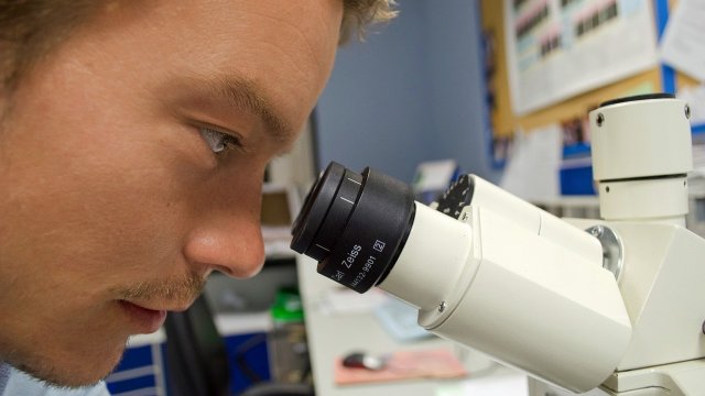 Millionenförderung für Thüringer Medizin-Forschung