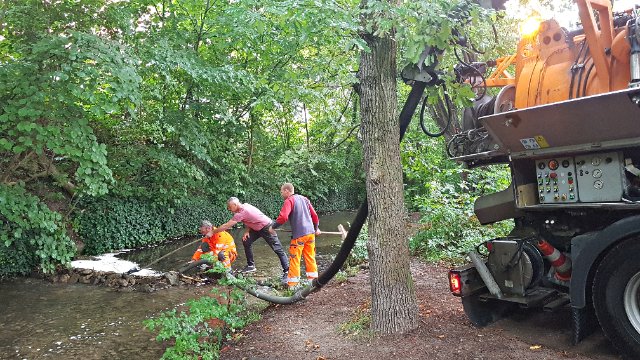 Styropor-Kügelchen in der Leutra