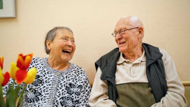 Widerstandsfähigkeit gegen Abbauprozesse im Gehirn 