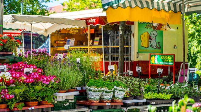 Verlegung des Jenaer Wochenmarktes