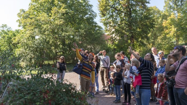„Zitterinchen“ auf den Dornburger Schlössern