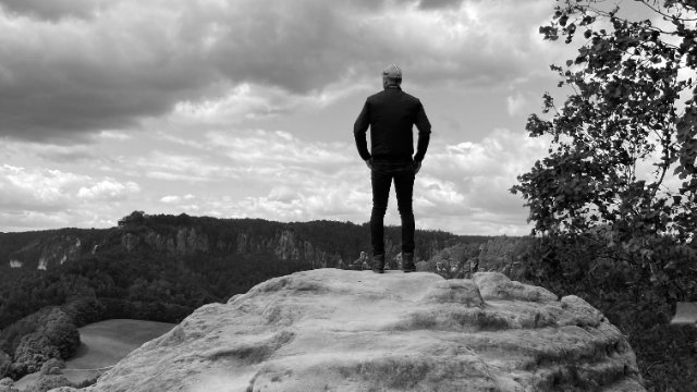 Doppelausstellung „Eine Nacht dunkler Bäume“