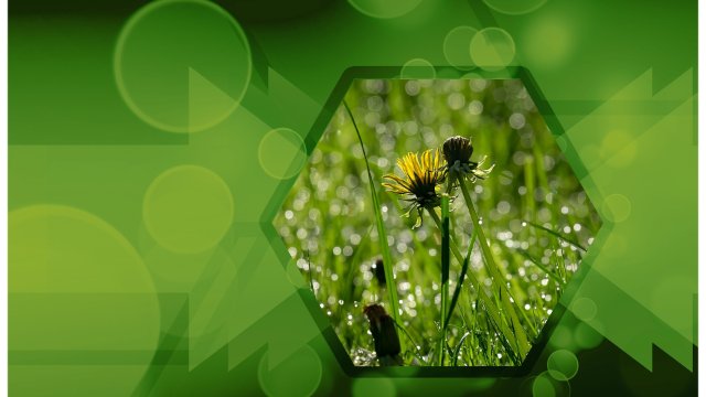 Konzept zu Klimaschutzagentur vorgestellt