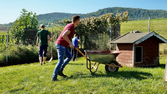 Rund 200 Teilnehmer beim Freiwilligentag