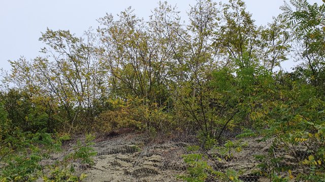 Hangsicherung in Wöllnitz