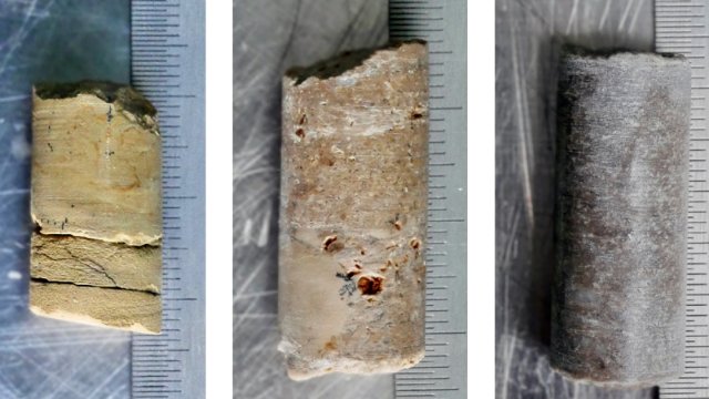 Kalkstein als Speicher von mikrobiellen Geninformationen