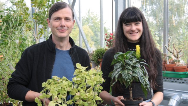 Die Natur ist erfinderisch: Derselbe Stoff wird von Pflanzen unterschiedlich hergestellt 	 