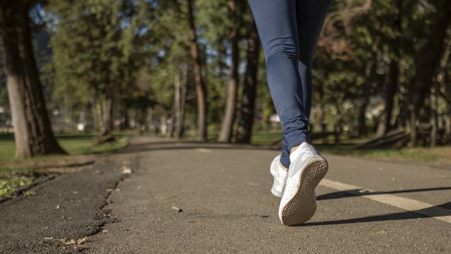 Kernberglauf – Anmeldungen erst am Samstag wieder möglich