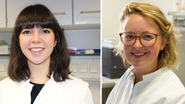 Ausgezeichnete Forschung für weniger Tierversuche