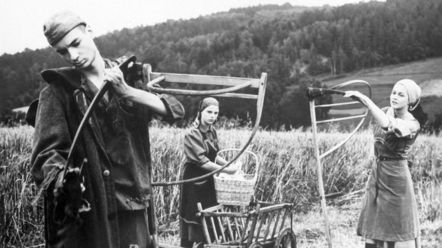  „Erster Verlust“ im Schillerhof Jena