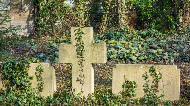 Johannisfriedhof vom Herbstlaub befreien