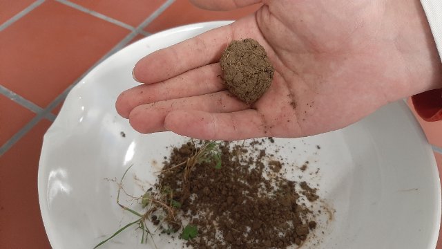 Bürger forschen mit: "Expedition Boden" in Thüringer Gärten